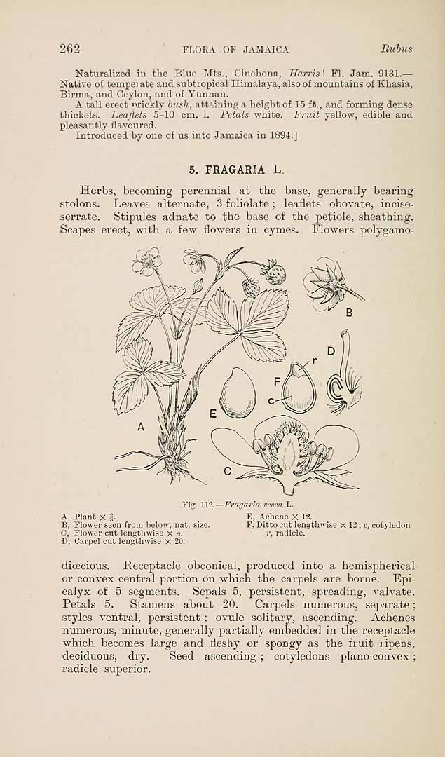 no HD illustration available (3)