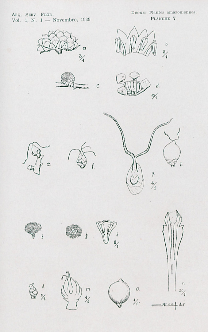 no HD illustration available (3)