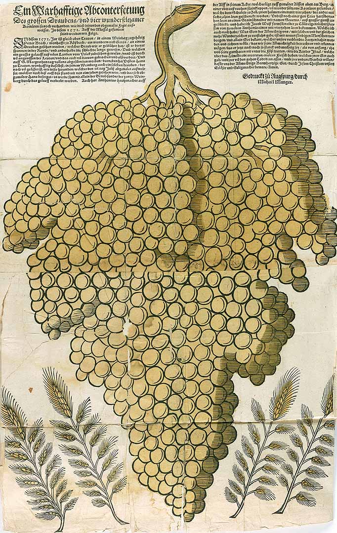 no HD illustration available (3)