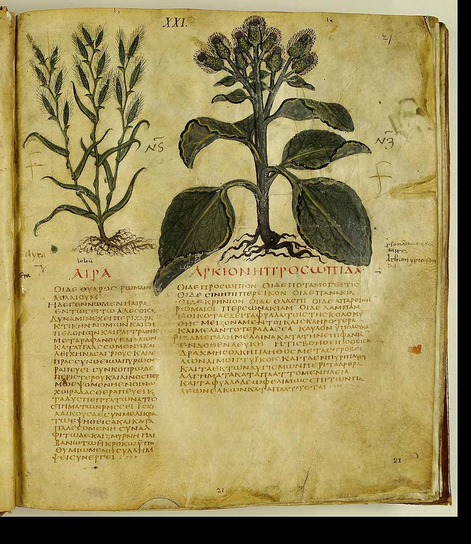 no HD illustration available (3)