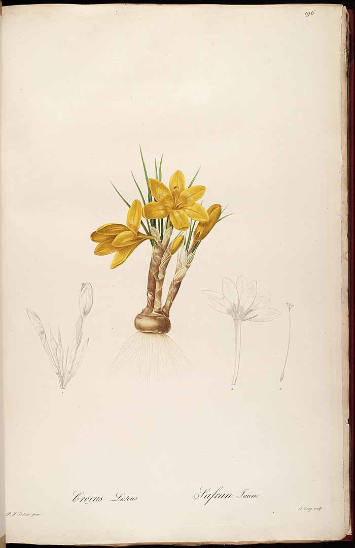 no HD illustration available (m3)