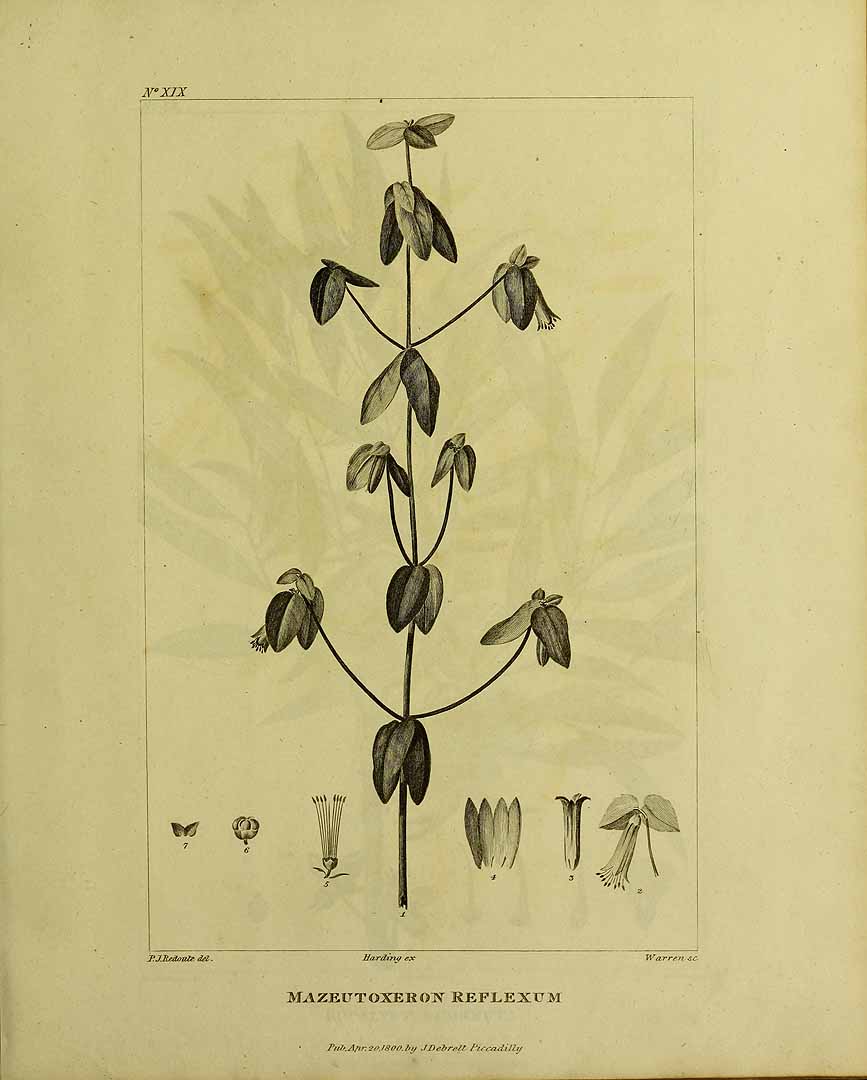 no HD illustration available (3)