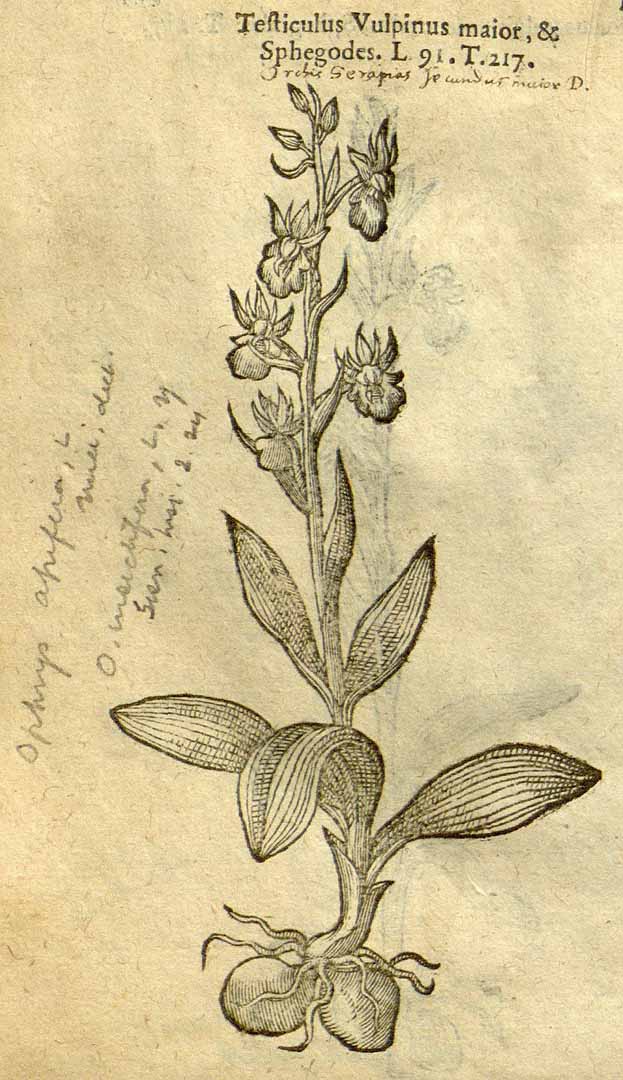 no HD illustration available (3)