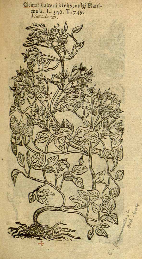 no HD illustration available (3)