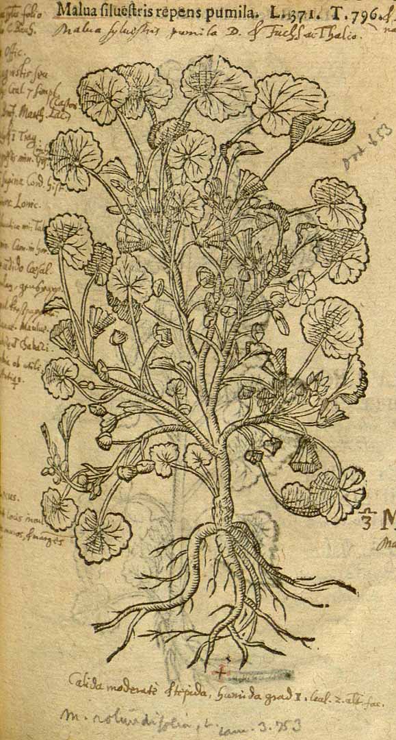 no HD illustration available (3)