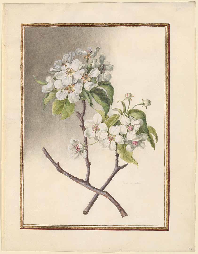 no HD illustration available (3)