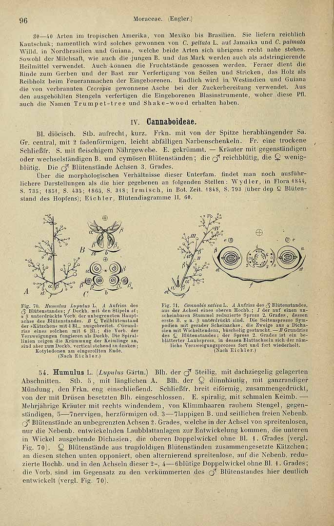 no HD illustration available (3)