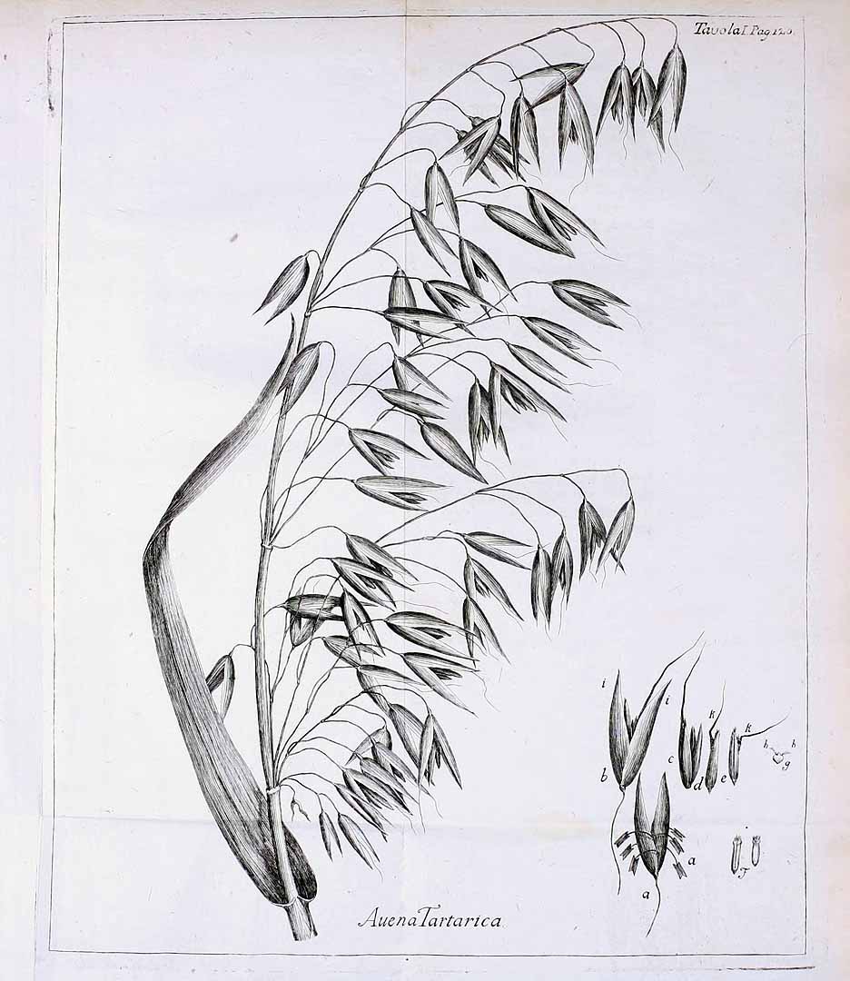 no HD illustration available (3)