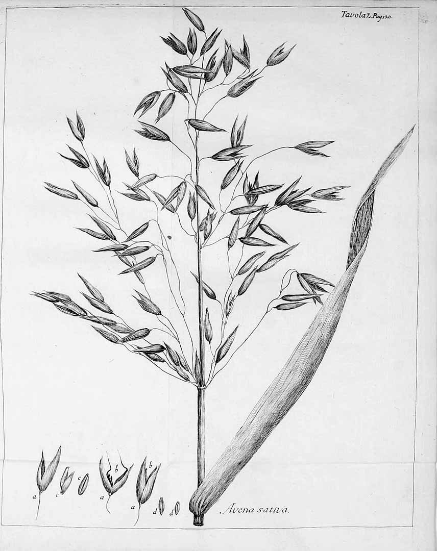 no HD illustration available (3)