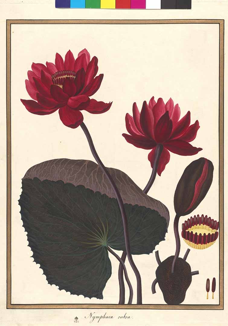 no HD illustration available (3)