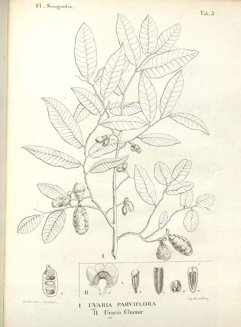 no HD illustration available (3)