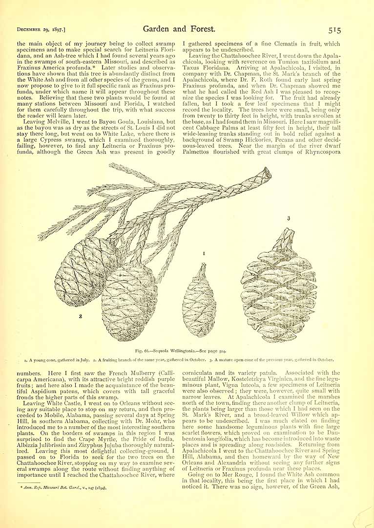 no HD illustration available (3)