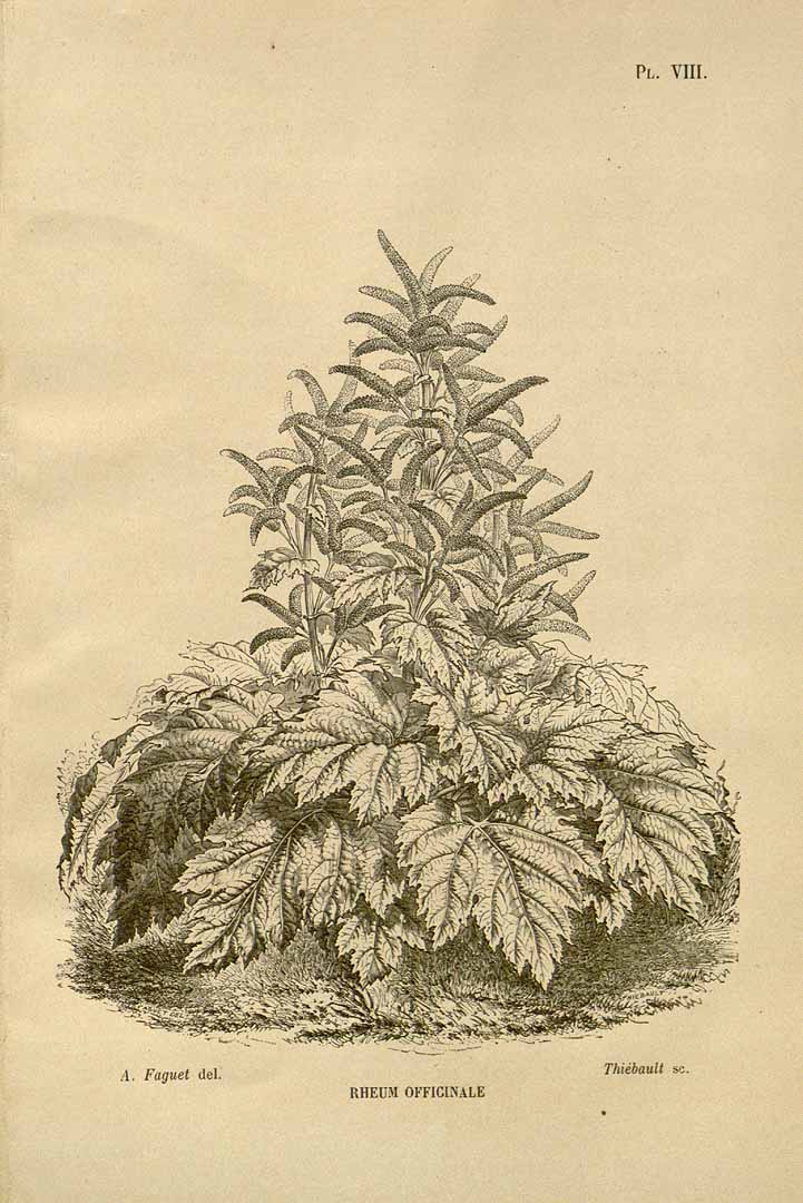 no HD illustration available (3)