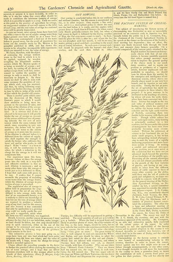 no HD illustration available (3)