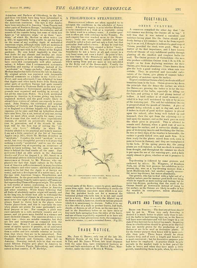 no HD illustration available (3)