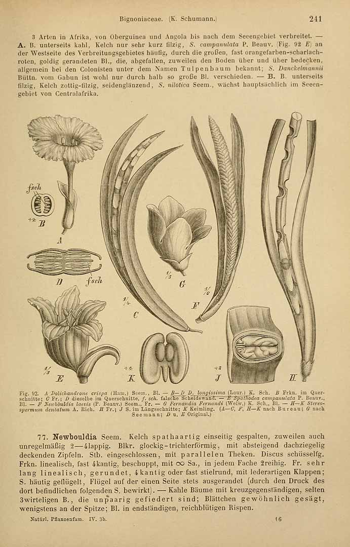 no HD illustration available (3)