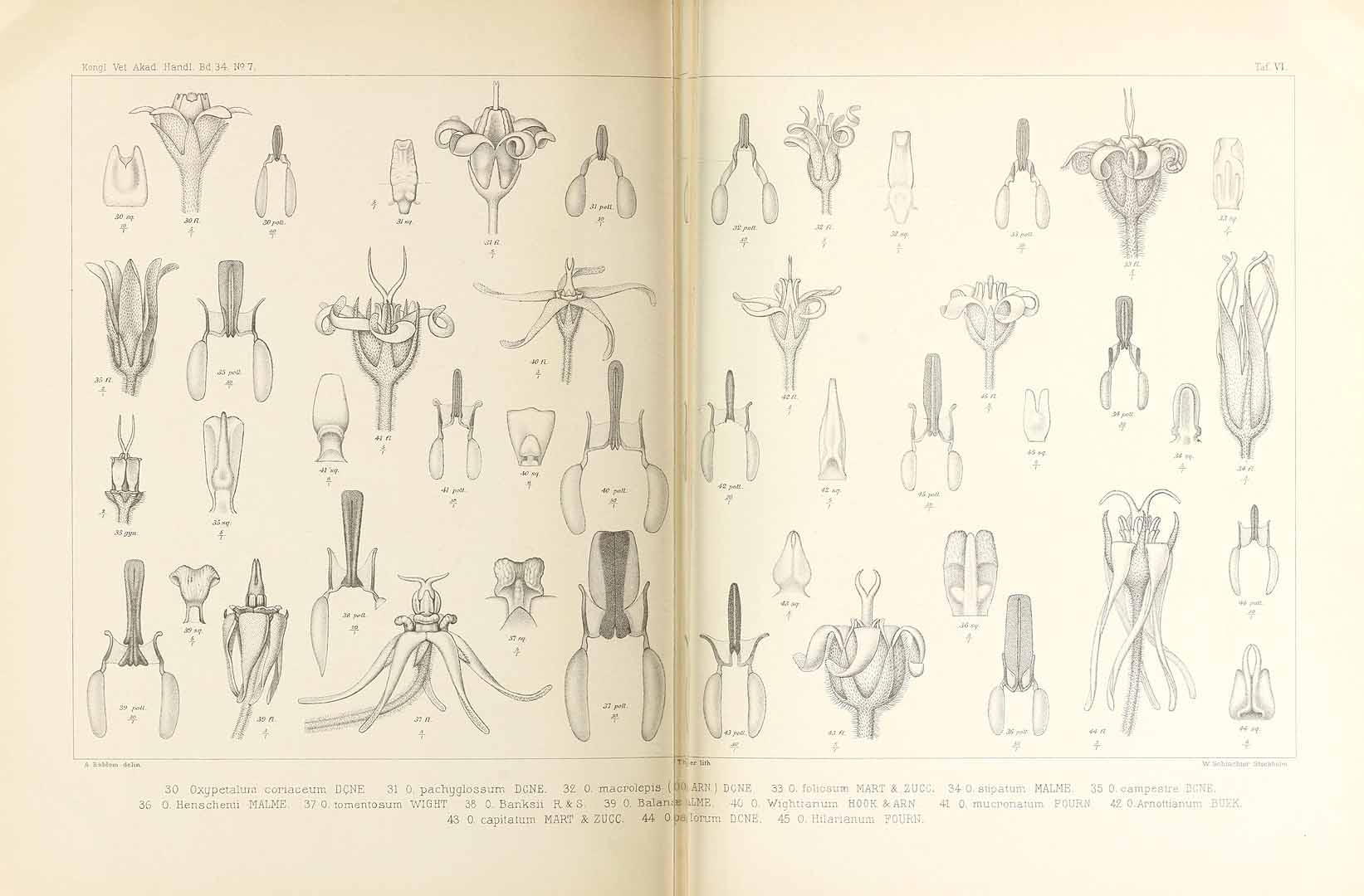 no HD illustration available (3)