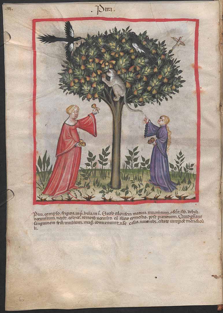 no HD illustration available (3)