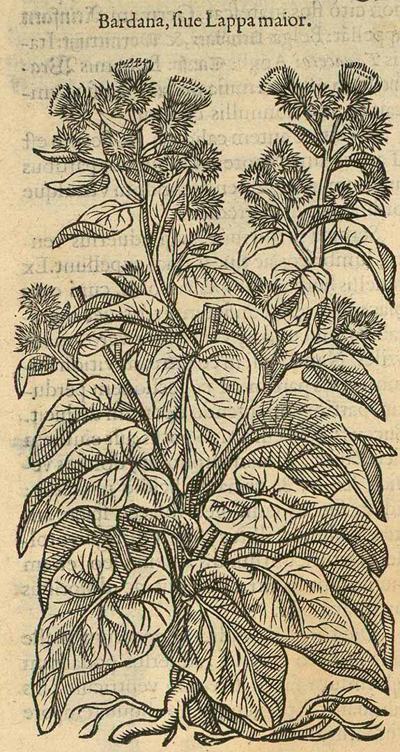 no HD illustration available (3)