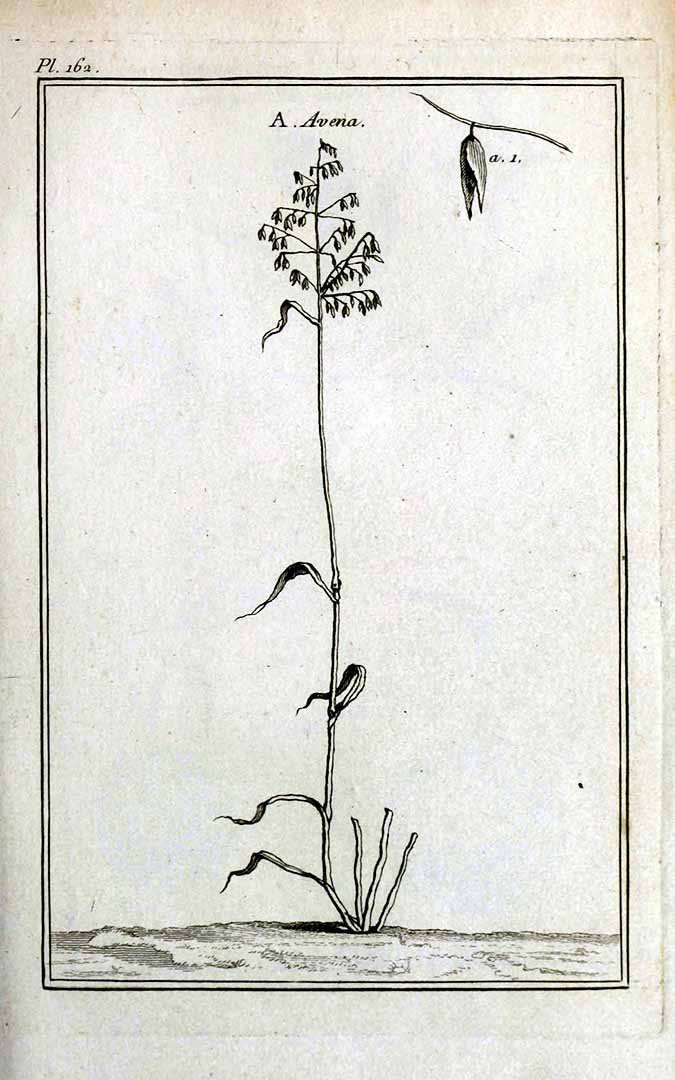 no HD illustration available (3)