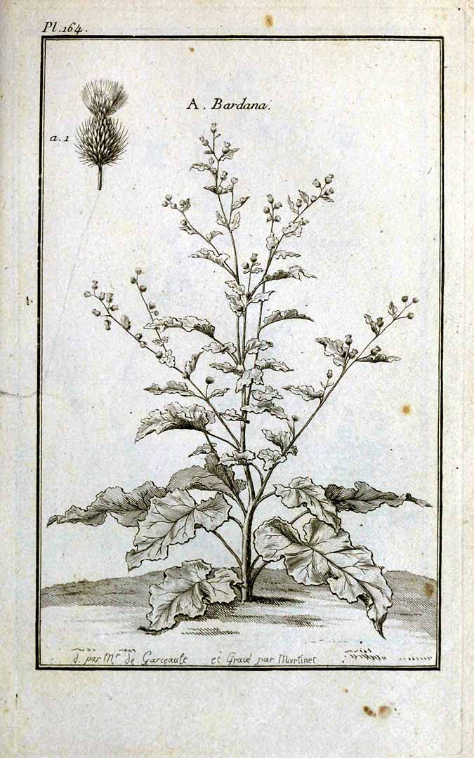 no HD illustration available (3)