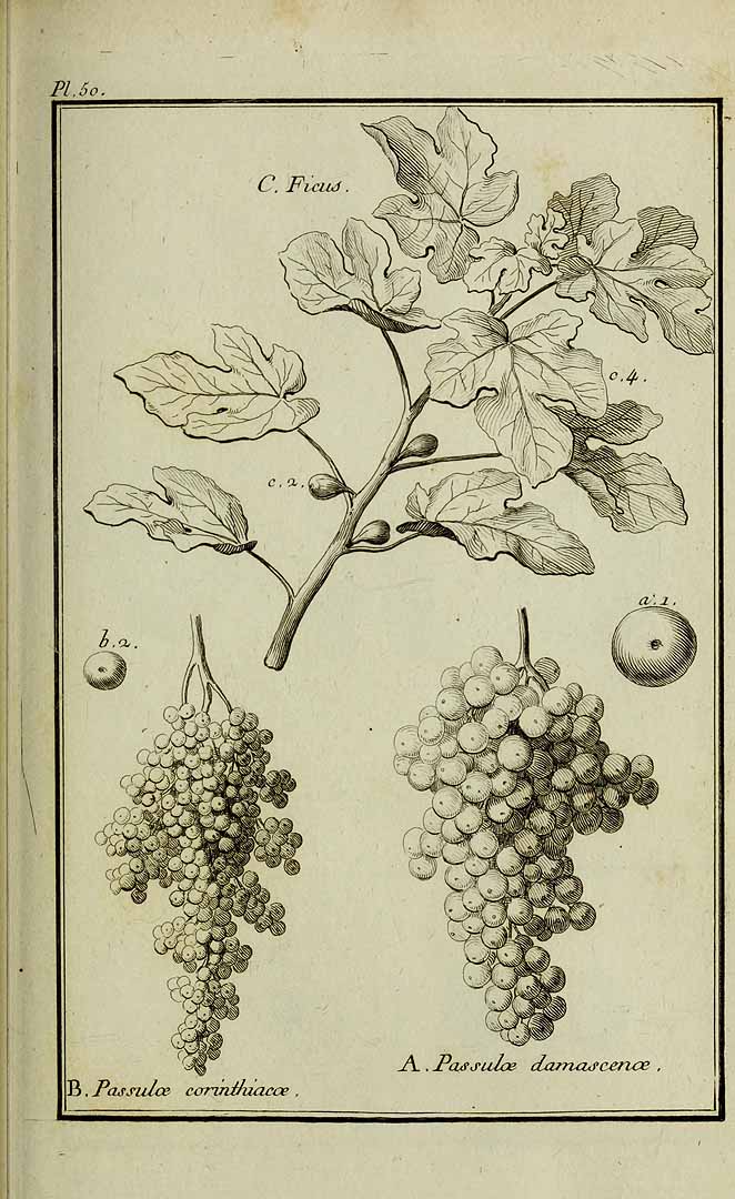 no HD illustration available (3)