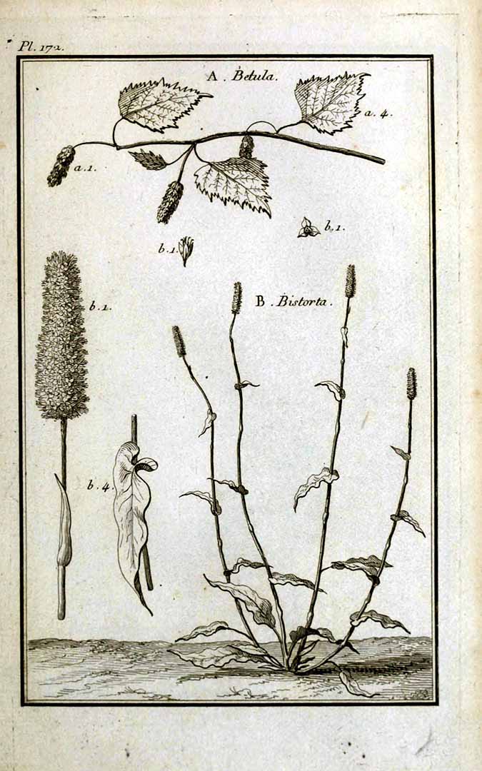 no HD illustration available (3)