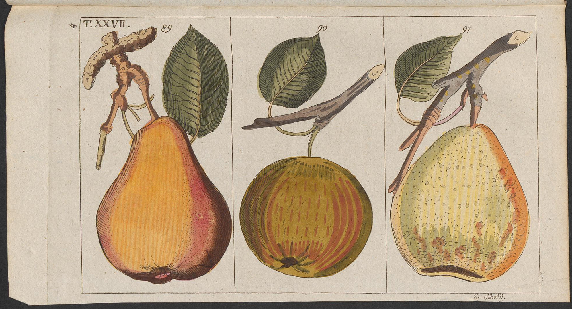 no HD illustration available (3)