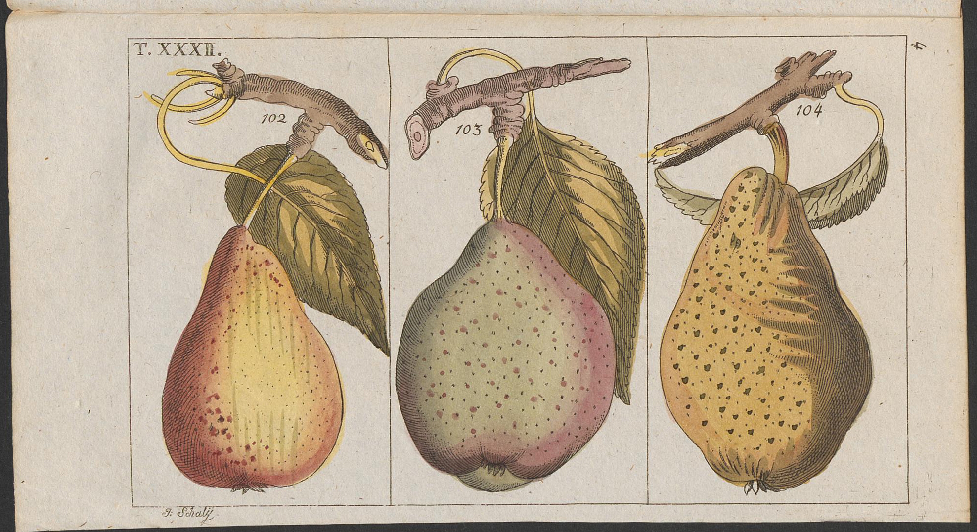 no HD illustration available (3)