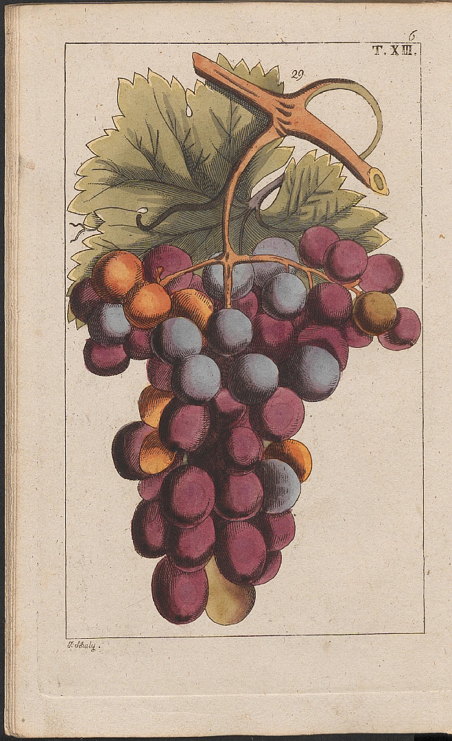 no HD illustration available (3)