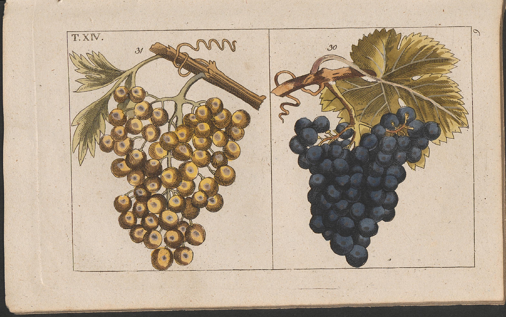 no HD illustration available (3)