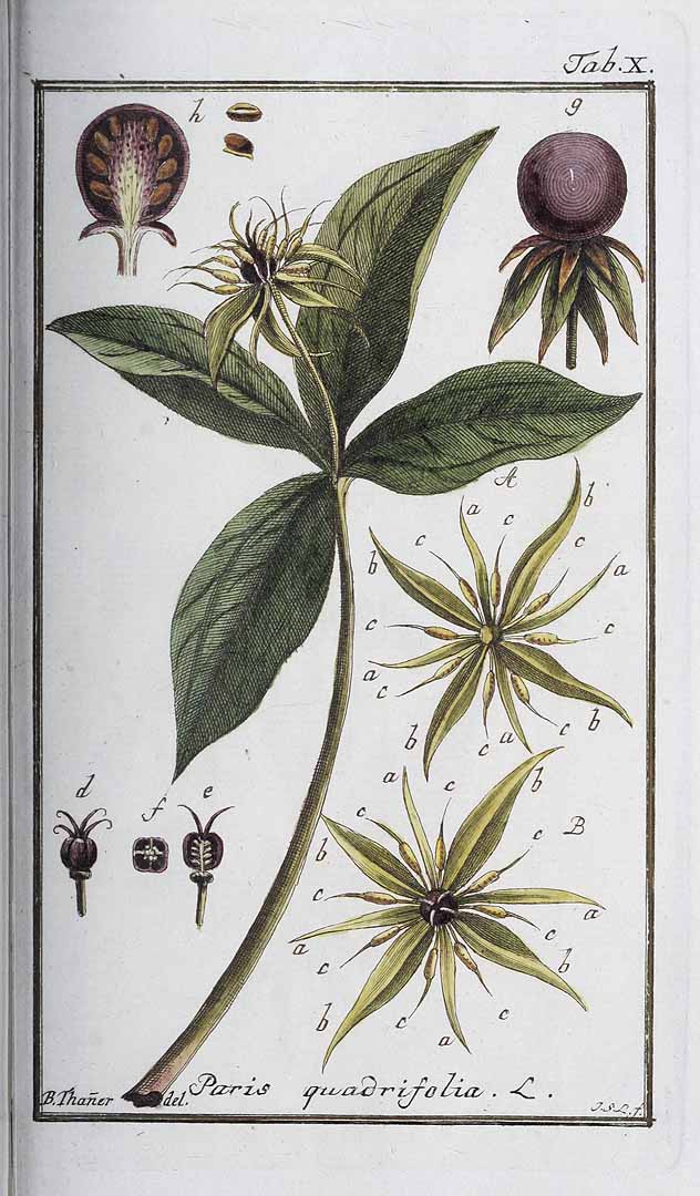 no HD illustration available (3)