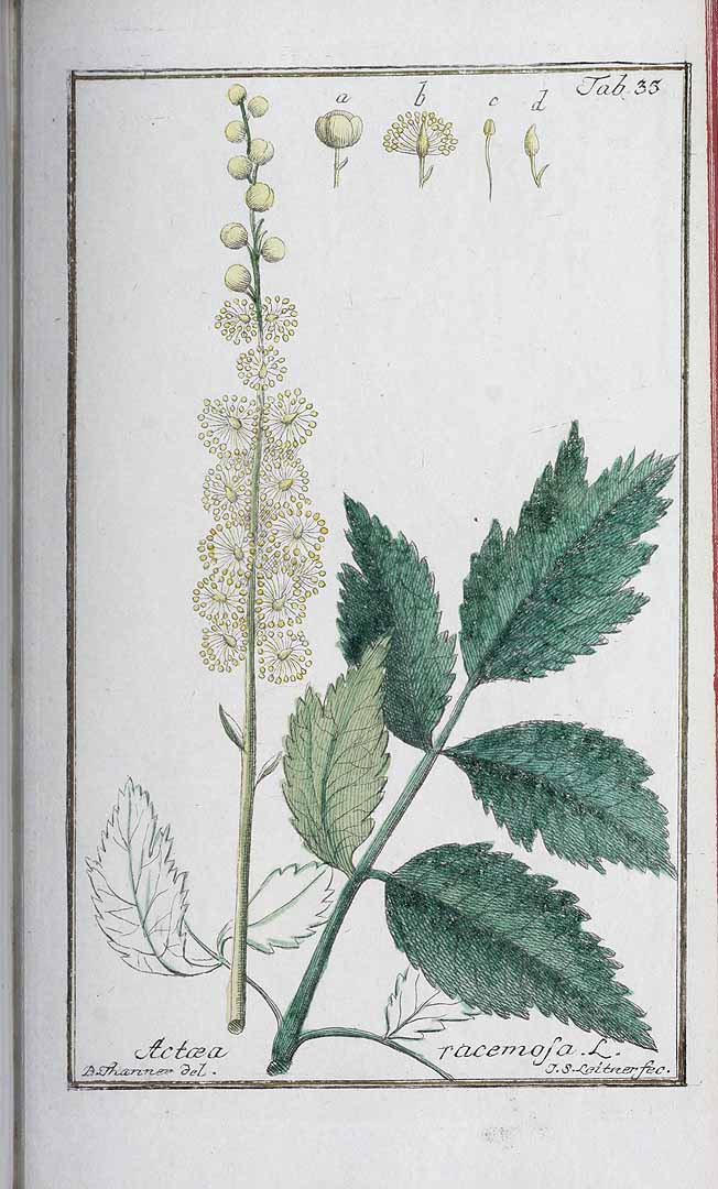 no HD illustration available (3)