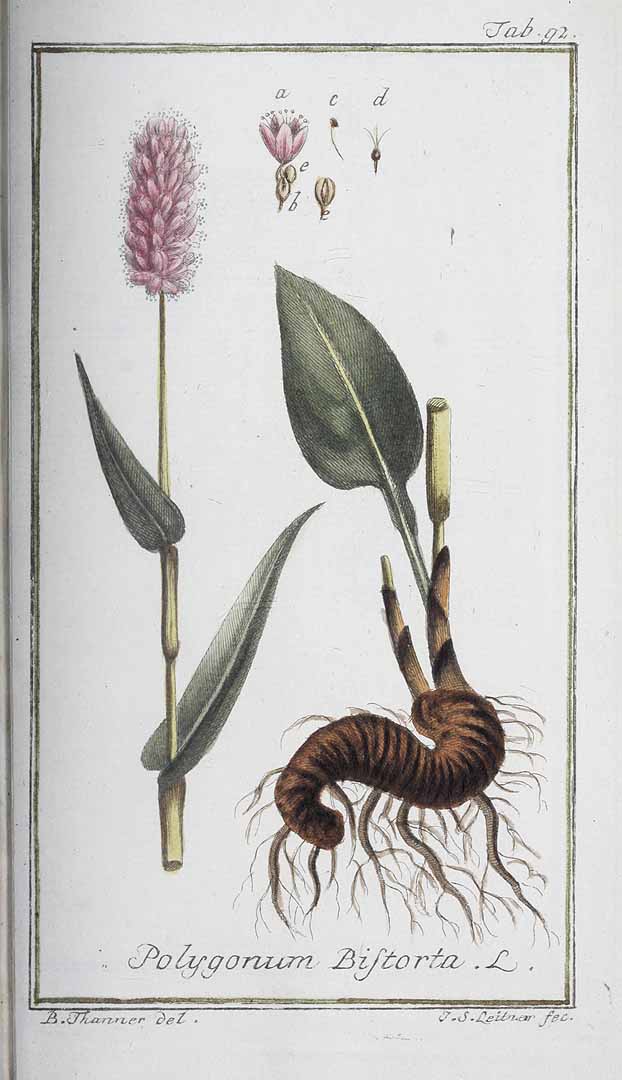 no HD illustration available (3)