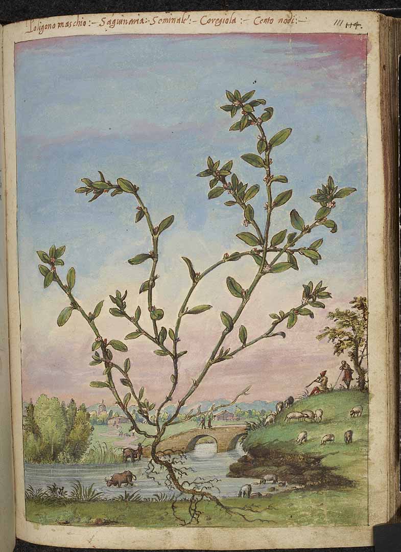 no HD illustration available (3)