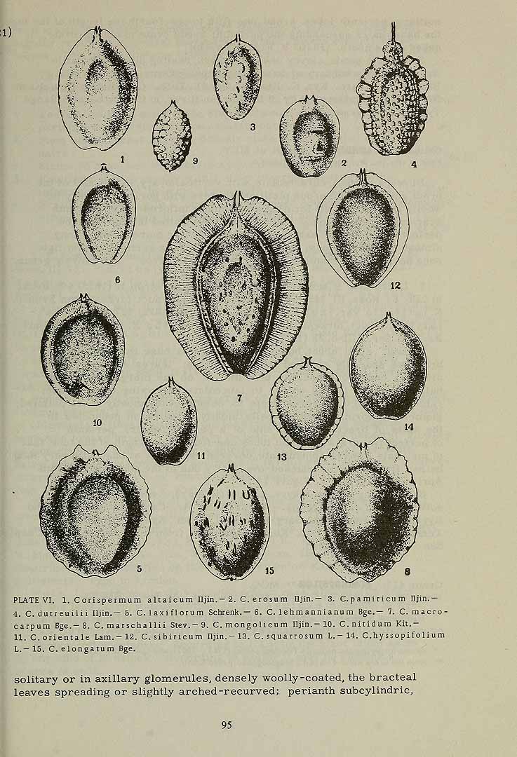 no HD illustration available (3)