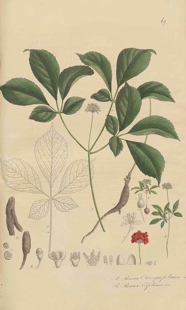 no HD illustration available (3)