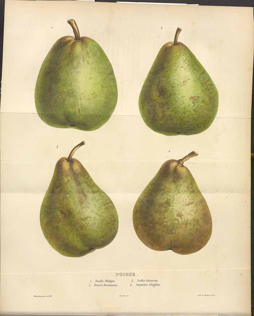 no HD illustration available (3)