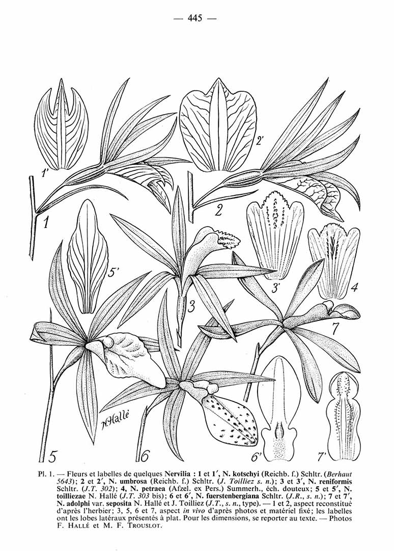 no HD illustration available