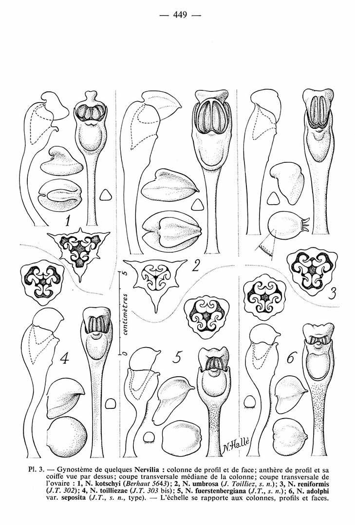 no HD illustration available