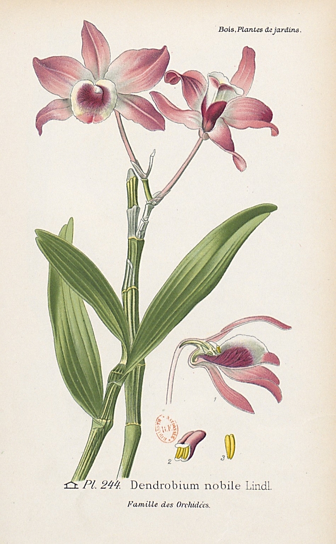 no HD illustration available (3)