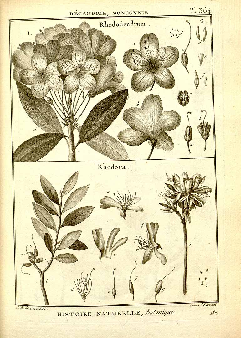 no HD illustration available (3)