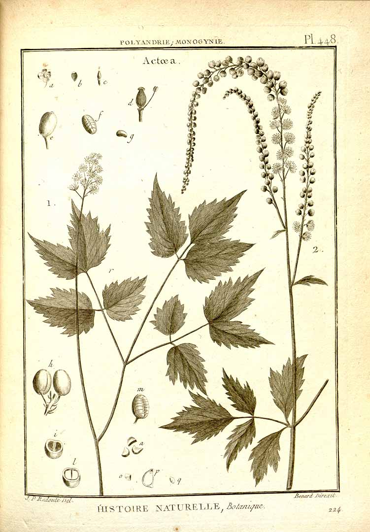 no HD illustration available (3)