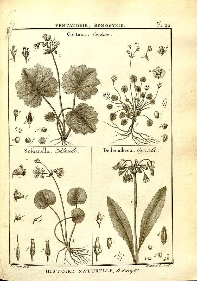 no HD illustration available (3)