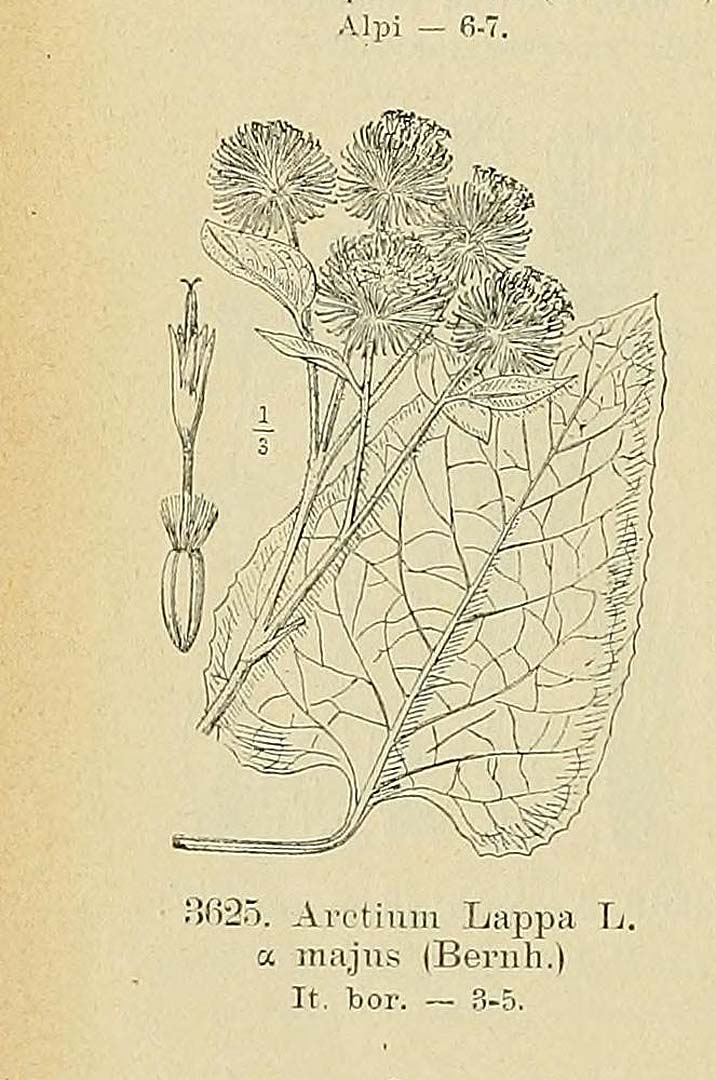 no HD illustration available (3)