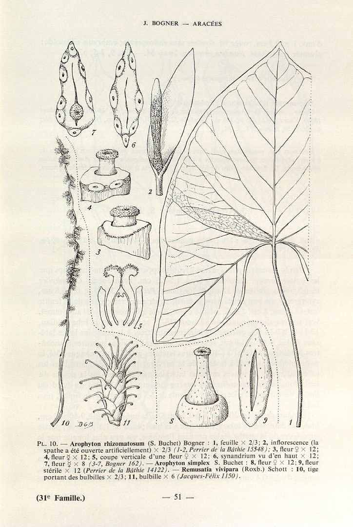 no HD illustration available (3)