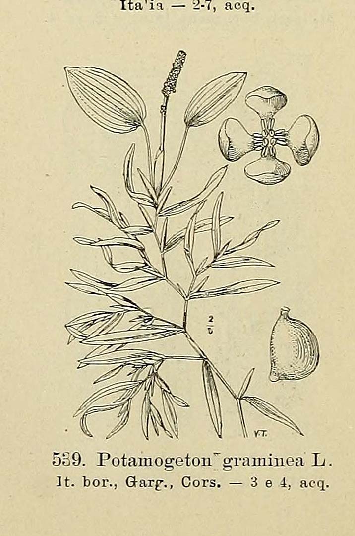 no HD illustration available (3)