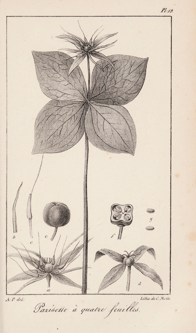 no HD illustration available (3)