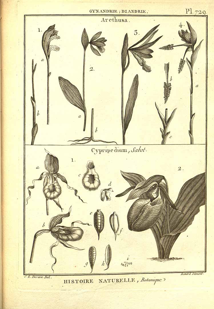 no HD illustration available (3)