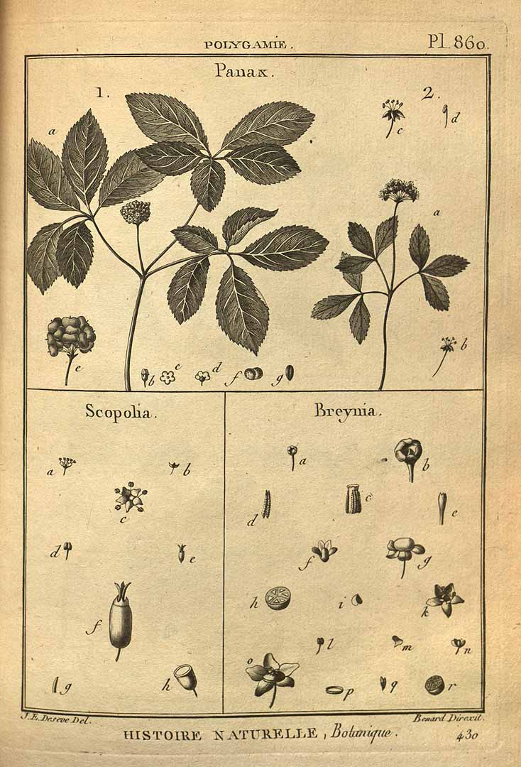 no HD illustration available (3)